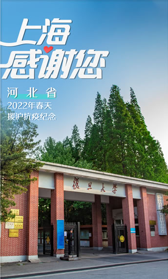 Axygen试剂盒 WIPP02240 96孔制备板-2	